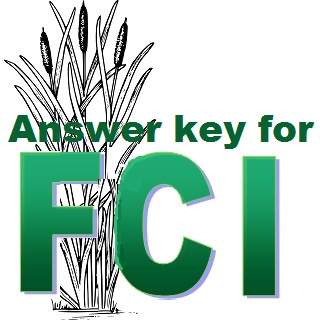 Answer Key for FCI 2015